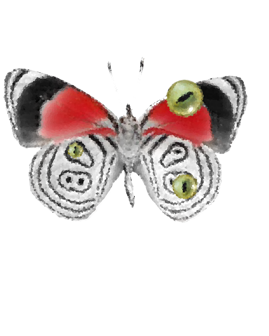 blog 2 image